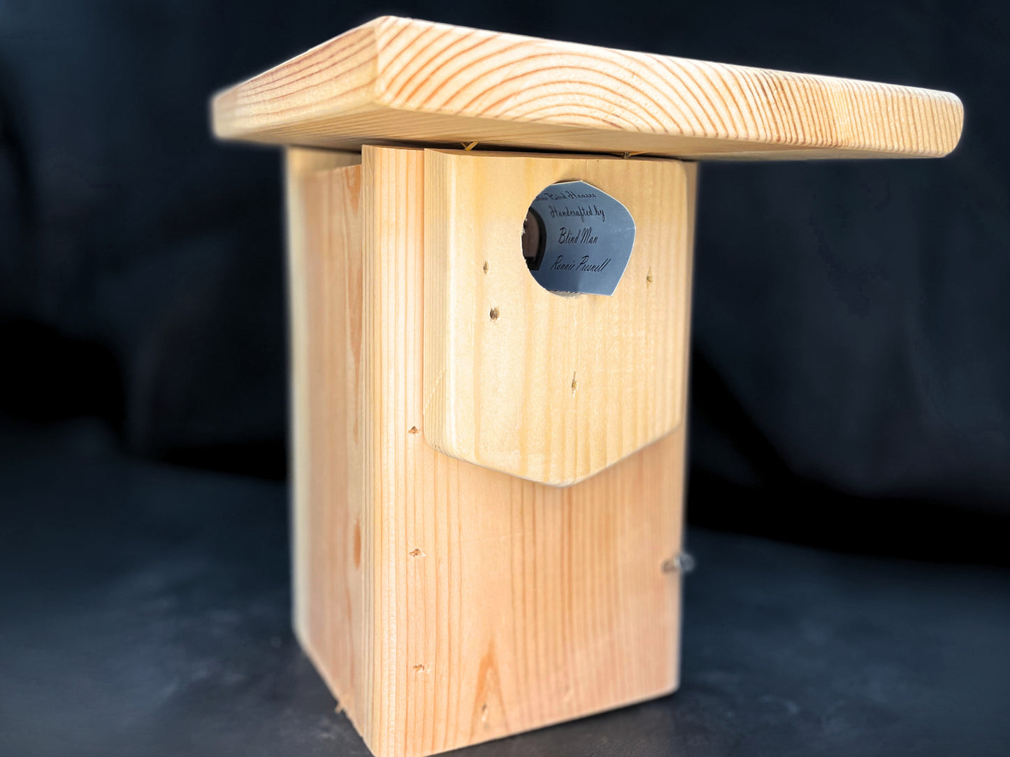 Blue Bird House DIY Kit