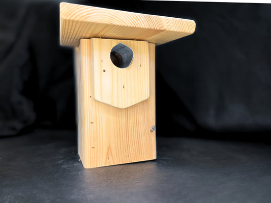Blue Bird House DIY Kit