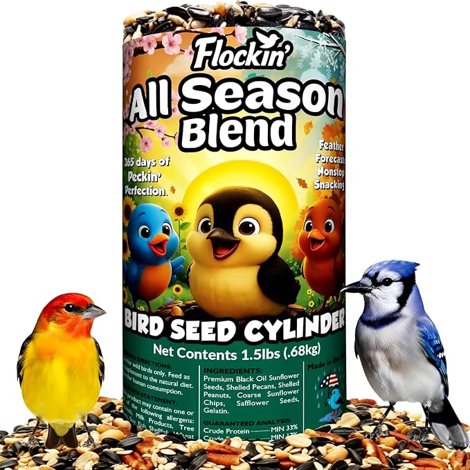Flockin Birds Seeds and Cylinder